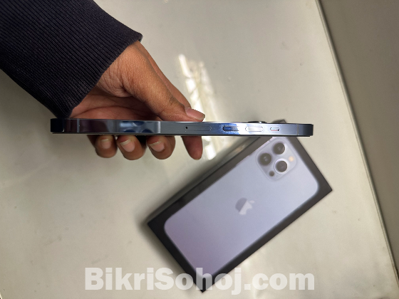 iphone 13 pro max (256 GB)
